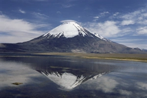 Volcano Prints: Volcano of Parinacola, 6348m high, reflected in water of Chungara Lake