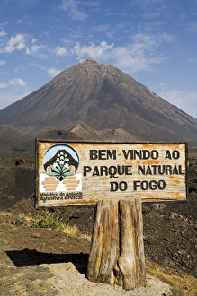 The volcano of Pico de Fogo in the background, Fogo (Fire), Cape Verde Islands, Africa