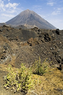 The volcano of Pico de Fogo in the background, Fogo (Fire), Cape Verde Islands, Africa