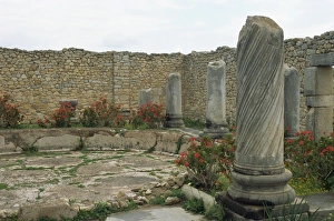 Volubilis Prints: Volubilis, UNESCO World Heritage Site