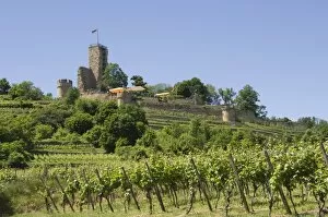 Images Dated 29th May 2009: Wachtenburg, Pfalz wine area, Germany, Europe