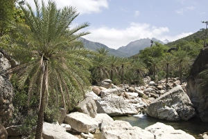 Yemen Prints: Wadi Ayhaft, Hagghir Mountains, Socotra Island, Yemen, Middle East