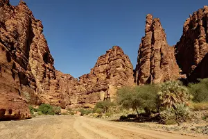 Algeria Prints: Wadi Disah (Wadi Qaraqir), sandstone canyon near Tabuk