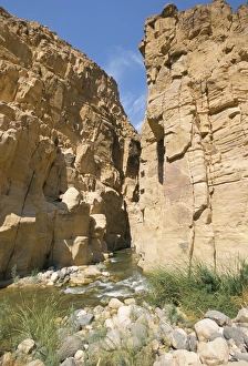 Wadi Prints: Wadi Mujib Gorge
