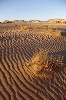 Images Dated 25th February 2009: Wadi Rum in the Jordanian Desert, Jordan, Middle East