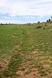 Images Dated 10th July 2008: Wagon ruts at Fort Union National Monument and Santa Fe National Historic Trail