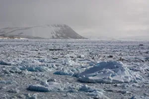 Floating On Water Prints: Wahlenberg fjord, Nordaustlandet, Svalbard Islands, Arctic, Norway, Europe