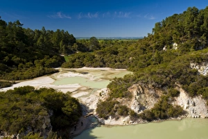 Images Dated 8th November 2008: Wai-O-Tapu Thermal Wonderland, North Island, New Zealand, Pacific