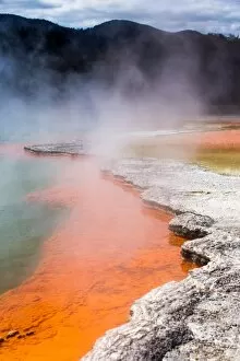 Geothermal Gallery: Wai-O-Tapu Thermal Wonderland, Rotorua, North Island New Zealand, Pacific