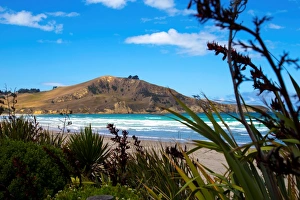 Otago Prints: Waikouaiti Reserve, Otago, South Island, New Zealand, Pacific
