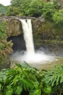 Images Dated 18th March 2008: Wailuku River Rainbow Falls State Park on the Big Island, Hawaii, United States of America