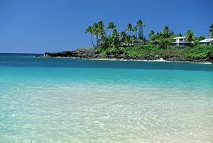 Wonderful Prints: Waimea Bay on the north shore