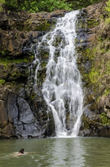 North Shore Prints: Waimea Falls, Waimea Valley Audubon Park