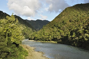 Bay Of Plenty Prints: Waioeka River, Waioeka Gorge Scenic Reserve, Bay of Plenty, North Island