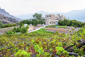 Farmers Prints: Wakan village, Western Hajar Mountains