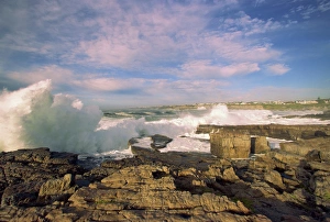 Walker Bay