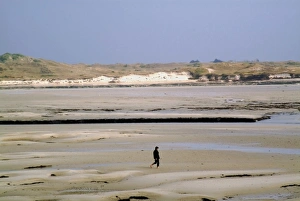 Manche Prints: Walker on sands at low tide, Portbail, Cotentin Peninsula, Manche, Normandy