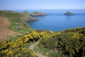 Isle Prints: Walkers on coastpath with views of the Mouls and Rumps Point, Pentire Headland
