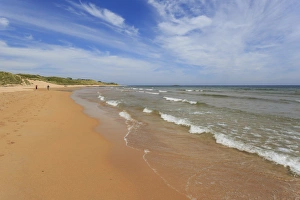 Expanse Prints: Walkers on the golden sands of Embleton Bay, Northumberland Coast. England, Europe