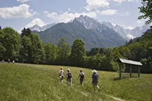 Walker Prints: Walkers on path through flower meadow with typical hay rack in summer