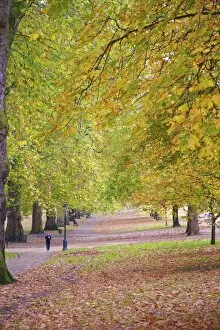 Walking in an autumnal Hyde Park, London, England, United Kingdom, Europe
