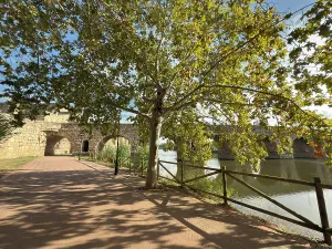Stroll Prints: Walking along the Guadiana River near Roman Bridge in Merida