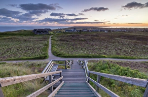 Walkway Prints: Walkway down to heather and sand dunes at dawn