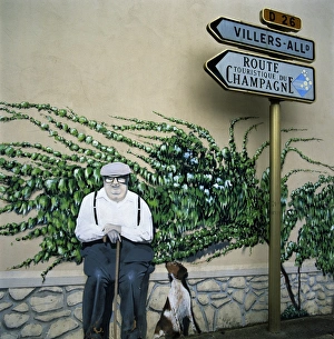 Reims Prints: Wall art, near Reims, Champagne, France, Europe