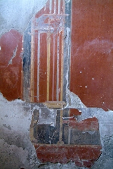 Frescoe Prints: Wall frescoes from Herculaneum