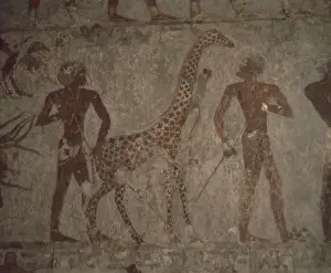 Giraffes Prints: Detail of wall painting in the tomb of Rekhmire, Valley of the Nobles, Thebes