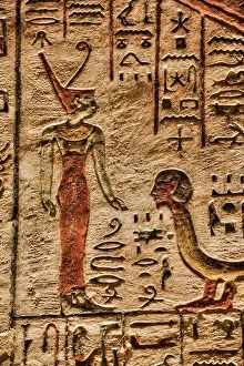 Relief Prints: Wall Relief, Tomb of Rameses III
