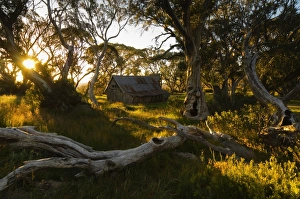 Images Dated 29th December 2007: Wallaces Hut, Bogong High Plains, Apline National Park, Victoria, Australia, Pacific