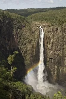 Images Dated 30th October 2010: Wallaman Falls 268m drop, the tallest in Australia, Ingham, Queensland