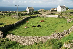 Walled fields