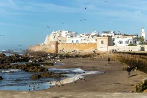 City Wall Prints: Walled town Medina from the coast, Essaouira, Morocco, North Africa, Africa