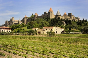 Turreted Prints: Walled and turreted fortress of La Cite, Carcassonne, UNESCO World Heritage Site