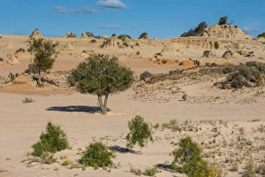 Images Dated 1st November 2008: Walls of China, a series of Lunettes in the Mungo National Park, part of the Willandra Lakes Region