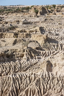 Images Dated 1st November 2008: Walls of China, a series of Lunettes in the Mungo National Park, part of the Willandra Lakes Region