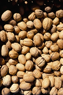Repeat Prints: Walnuts