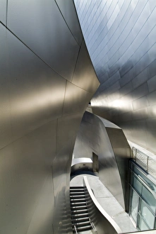 Steel Prints: Walt Disney Concert Hall