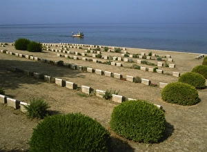Cemetery Prints: War graves near Anzac Cove, Gallipoli, Turkey, Europe