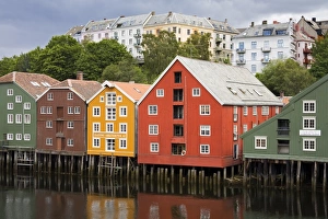 Images Dated 18th July 2008: Warehouses on Bryggen waterfront in Old Town District, Trondheim, Nord-Trondelag Region