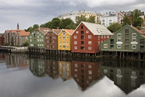 Images Dated 18th July 2008: Warehouses on Bryggen waterfront in Old Town District, Trondheim, Nord-Trondelag Region