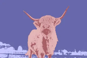 Horns Prints: Warhol inspired Highland cattle