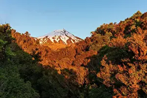 Australasia Prints: Warm sunset, jungle forest and snowy summit of Taranaki Volcano