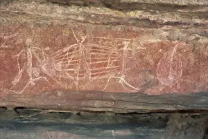 Warrior frieze at the Aboriginal rock art site at Ubirr Rock, Kakadu National Park