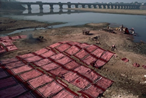 Ahmedabad Prints: Washing and drying block printed textiles, Ahmedabad, Gujarat state, India, Asia