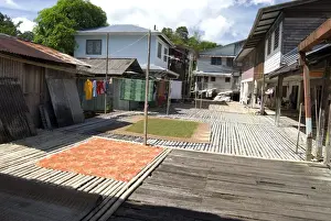 Laundry Prints: Washing and green peppercorns drying at Annah Rais Bidayuh Longhouse, Sarawak