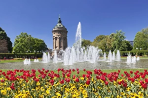 Flower Bed Prints: Wasserturm am Friedrichsplatz, Mannheim, Baden-Wurttemberg, Germany, Europe