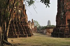 Ayutthaya Prints: Wat Maha That, Ayutthaya, UNESCO World Heritage Site, Thailand, Southeast Asia, Asia